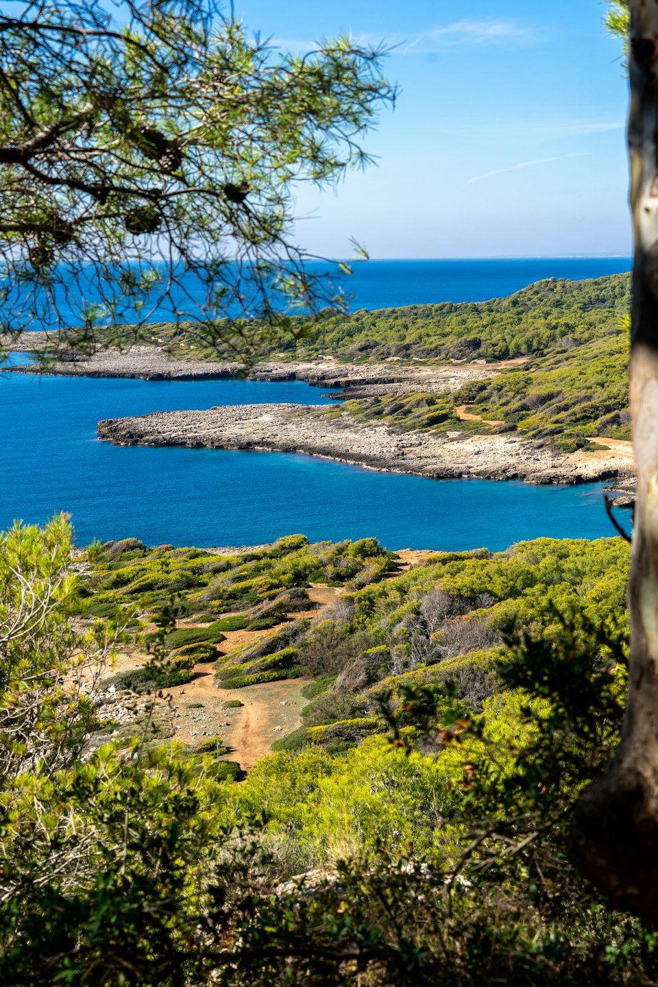 Mare blu incontra costa rocciosa con arbusti e alberi verdi.